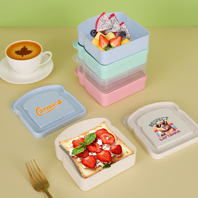 Kotak Penyimpanan Makanan Sand - Food Storage With Colander ulasan dan harga