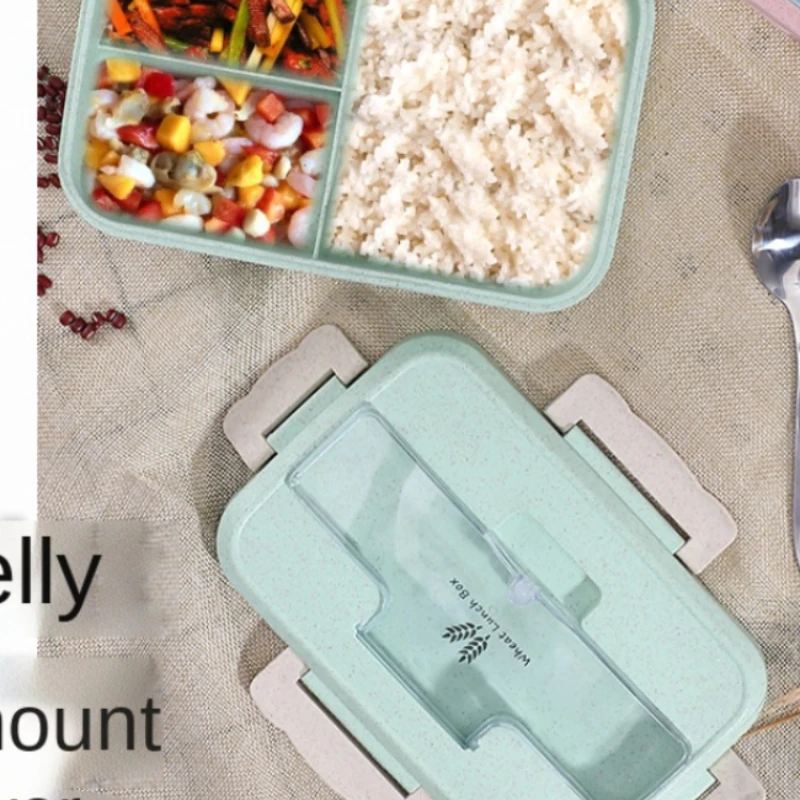 Kotak makan siang Microwave, p - Food Storage No Plastic ulasan dan harga