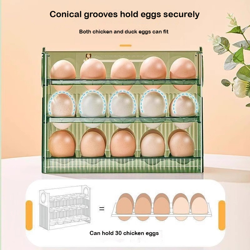 Kotak Penyimpanan Telur Otomat - Food Storage Rack For Kitchen ulasan dan harga