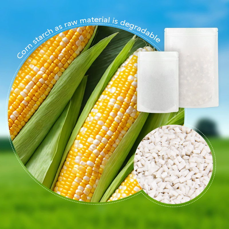 Kantong Kertas Kraft Ramah Lin - Zebra Food Storage ulasan dan harga