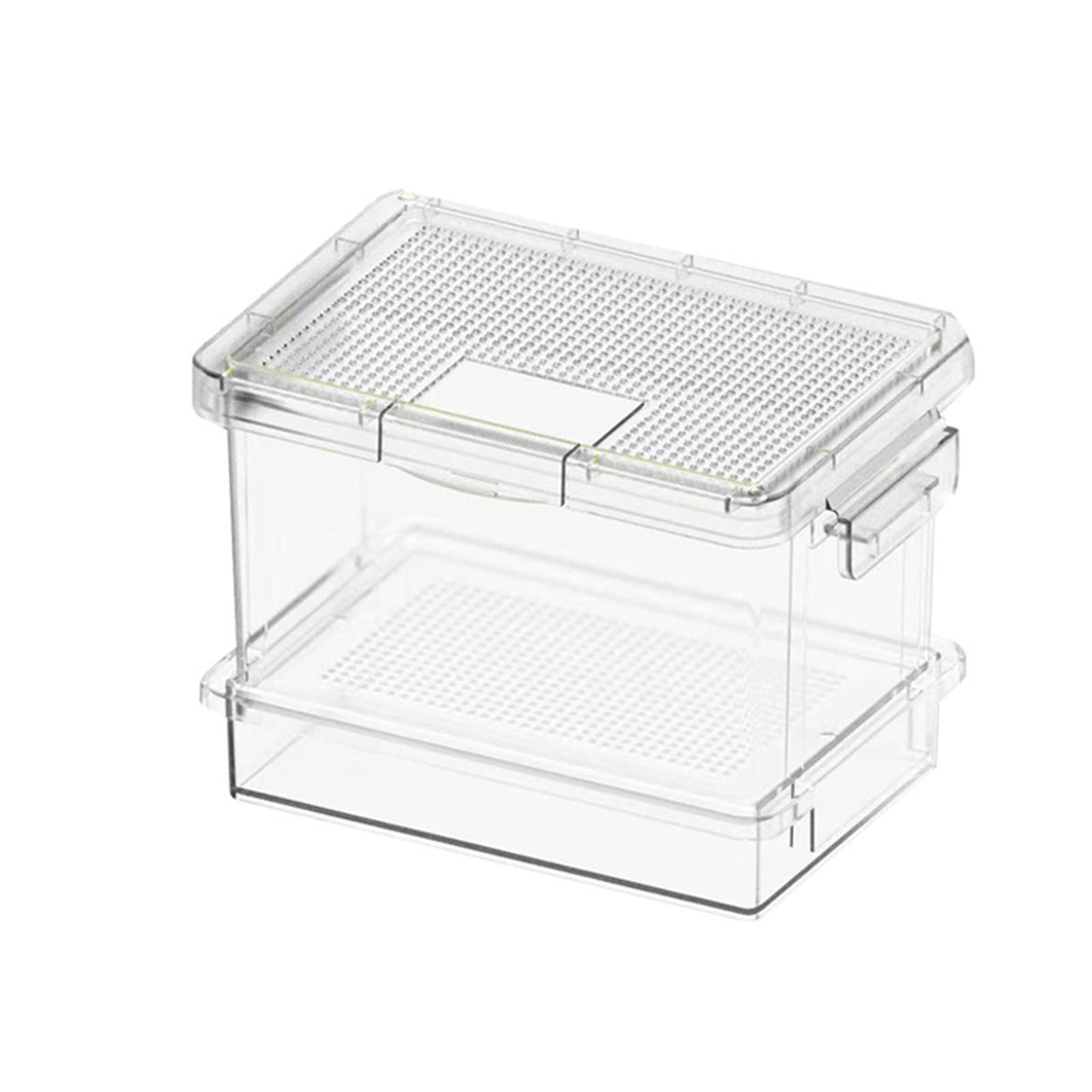Kotak Pemberian Makan Kura-Kur - Food Storage Plastic ulasan dan harga